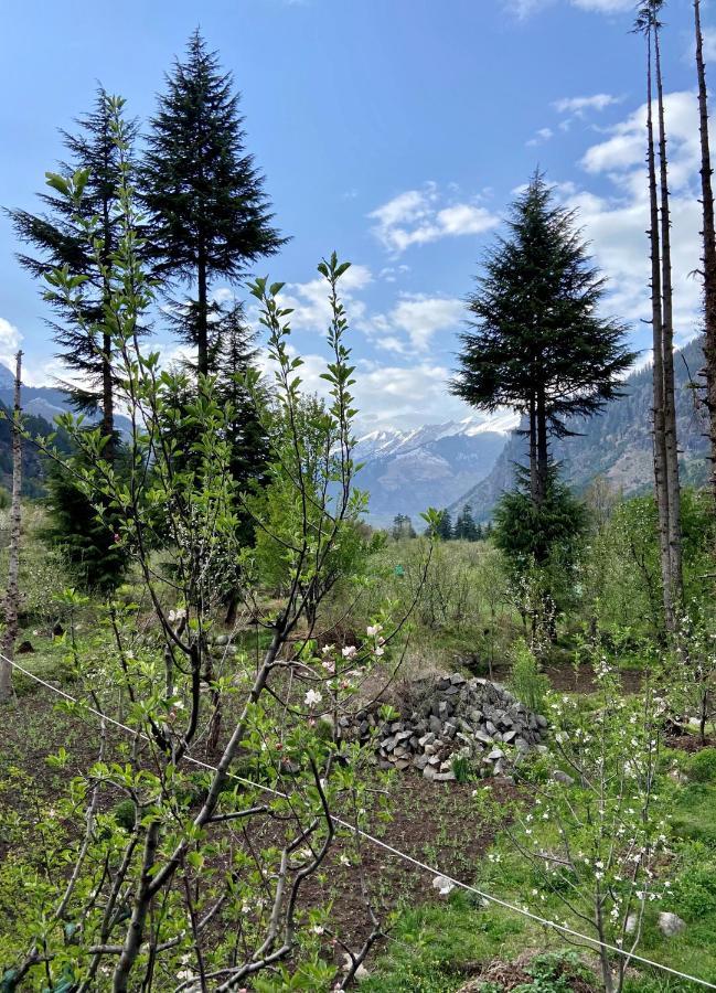 Getaway Stays Manali 외부 사진